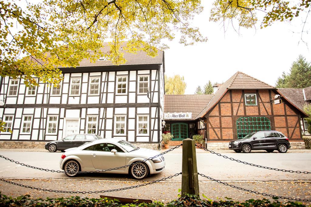 Hotel Alter Wolf Wolfsburg Kültér fotó